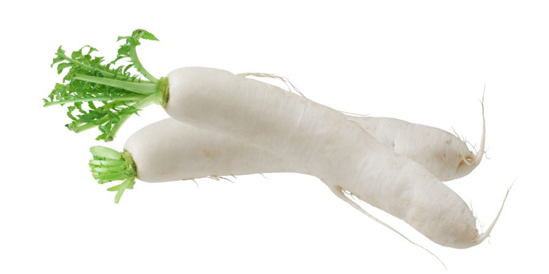 White Radish | Exotic Roots - Importeur en groothandel in groente en fruit